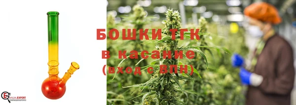 трава Аркадак