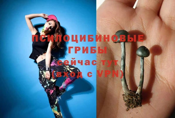 трава Аркадак