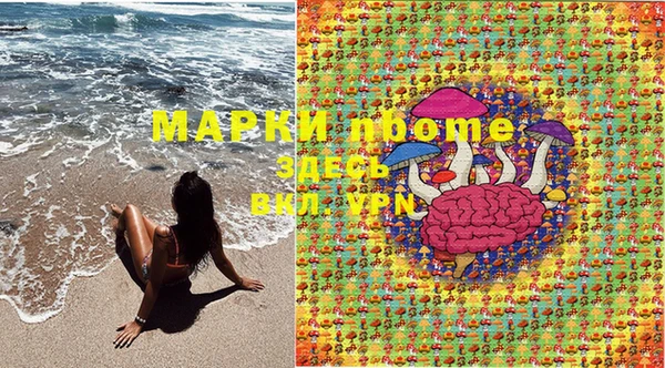 дурь Алзамай