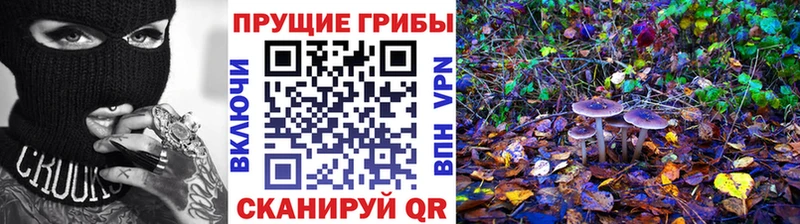 ОМГ ОМГ ССЫЛКА  Чадан  Псилоцибиновые грибы ЛСД 