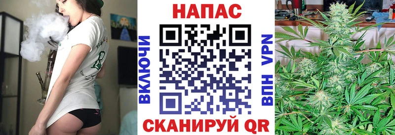 сколько стоит  Чадан  МАРИХУАНА VHQ 